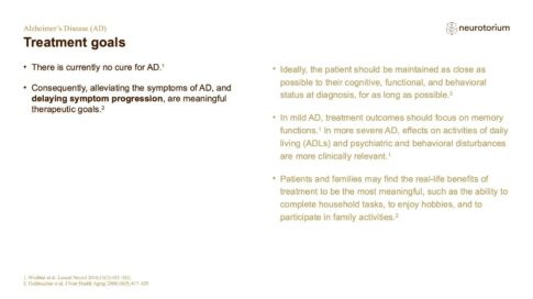Alzheimers Disease – Treatment Principles – slide 4